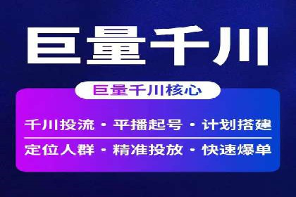 竞价广告的技巧与策略：网络推广的经典案例分享